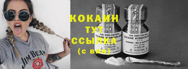 гидропоника Алзамай