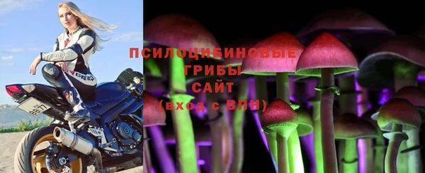 крисы Аркадак