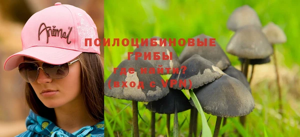 шишки Армянск
