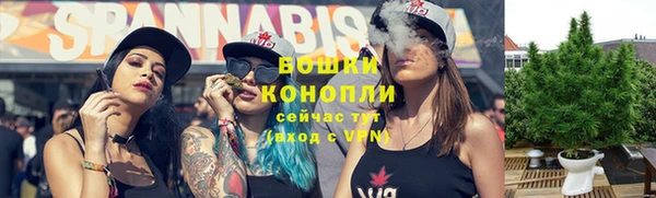 крисы Аркадак